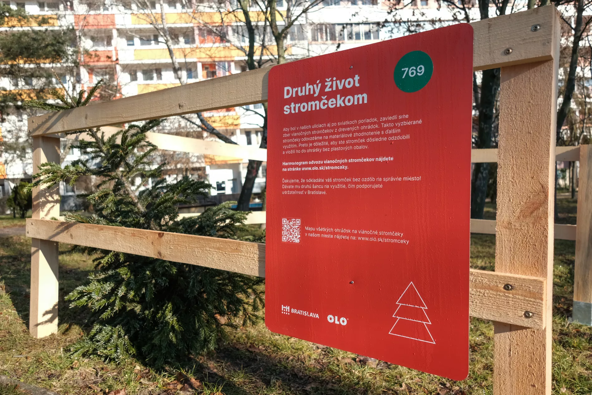 Zber živých vianočných stromčekov v rámci projektu Druhý život stromčekom.