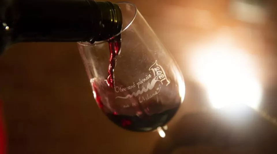 Vo Vajnoroch sa uskutoční súťaž amatérskych vinárov o najlepšie víno, chcú upozorniť na neutešený stav vinohradníctva