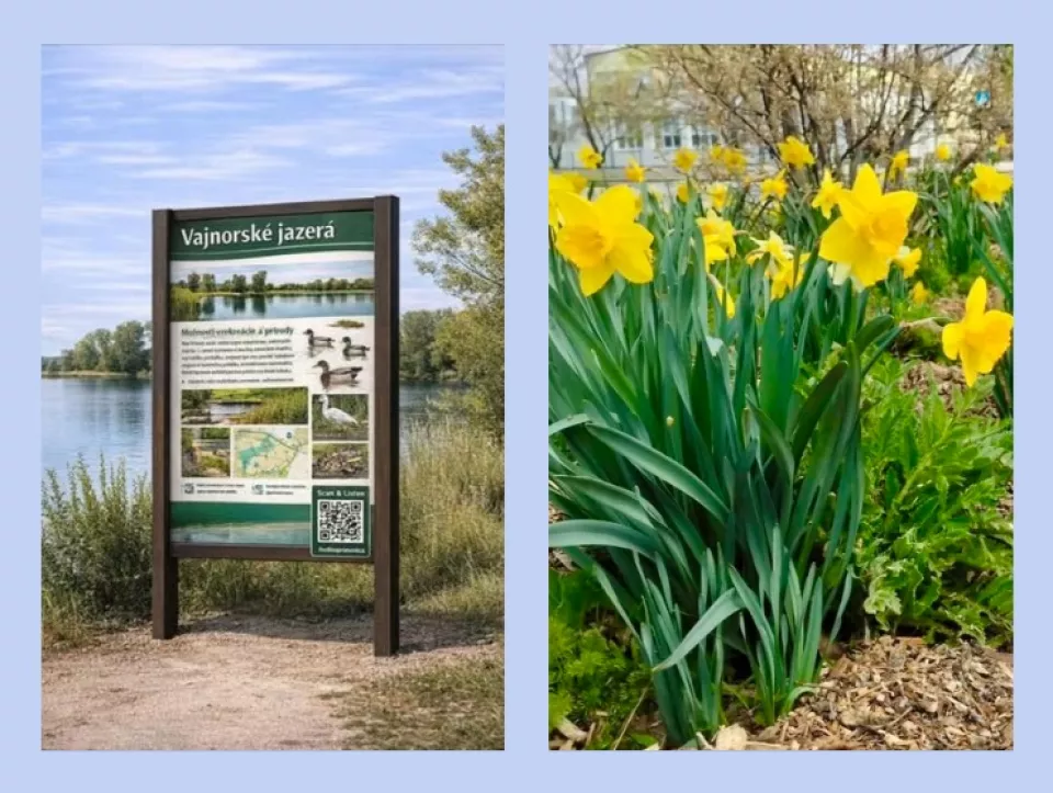 Z participatívneho rozpočtu na rok 2026 sa budú realizovať informačné tabule a výsadba cibuľovín