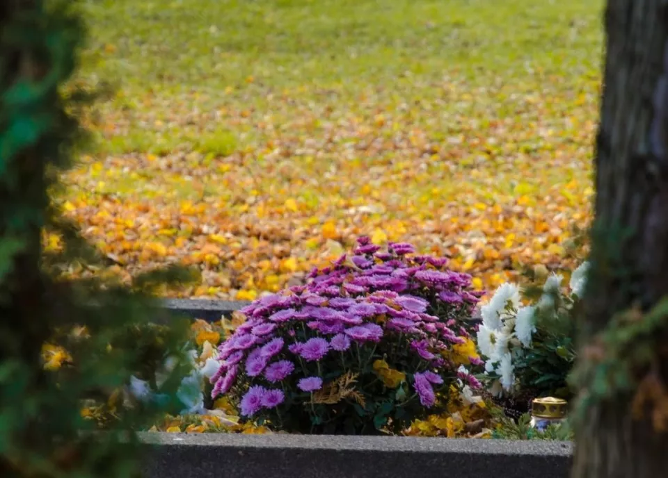 Takmer 90 % cintorínskeho odpadu sa dá triediť a následne recyklovať, no aj napriek tomu končí v ZEVO či na skládkach. Aké je riešenie? 