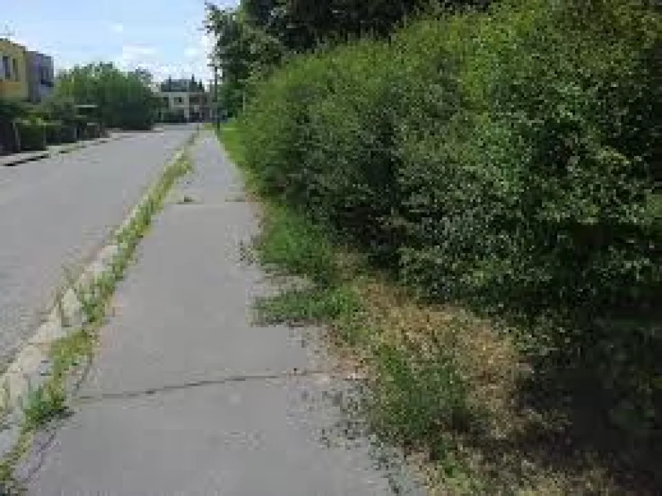 UPOZORNENIE na  orezávanie drevín prerastajúcich na verejné priestranstvo a rastúcich v blízkosti elektrického vedenia   