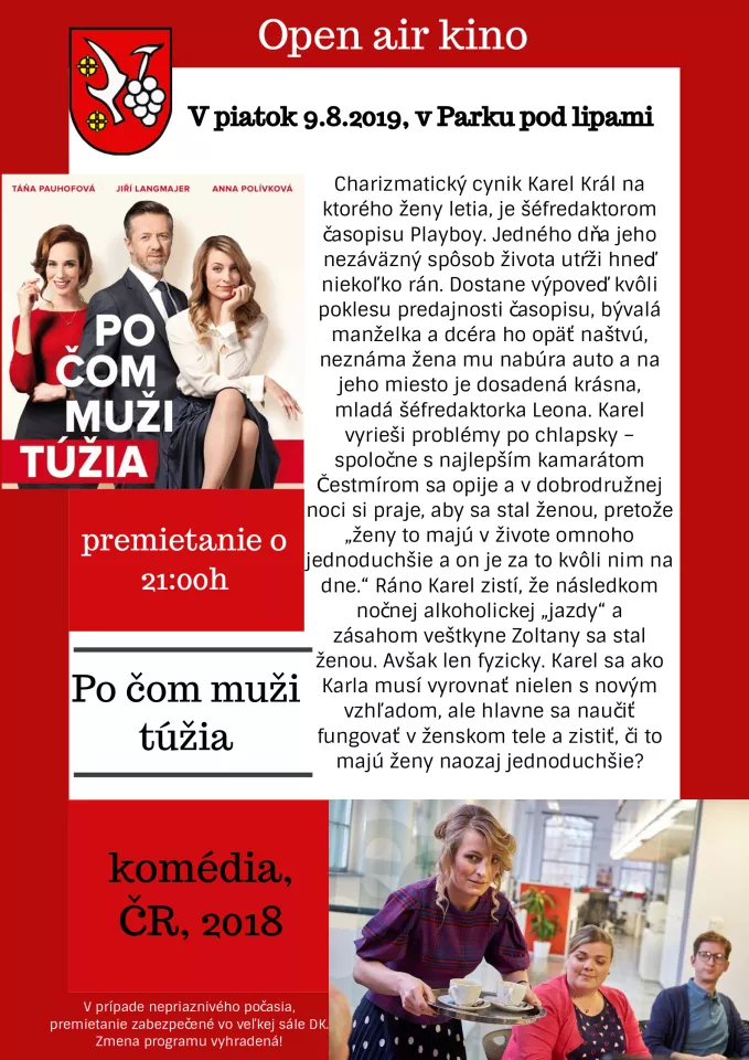 Letné kino: Po čom muži túžia 